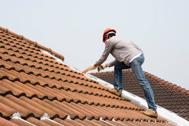 Sheet Metal Roofing in Pigeon, MI