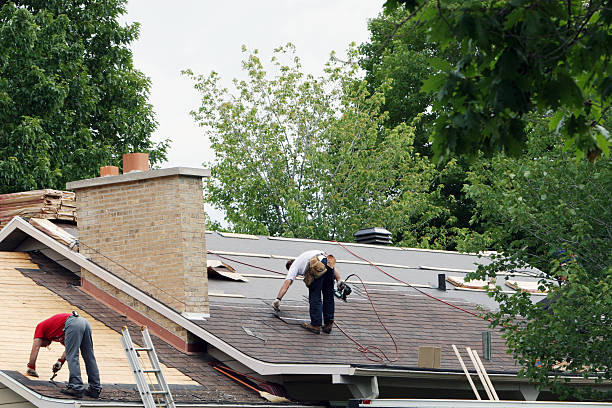 Best Roof Moss and Algae Removal  in Pigeon, MI