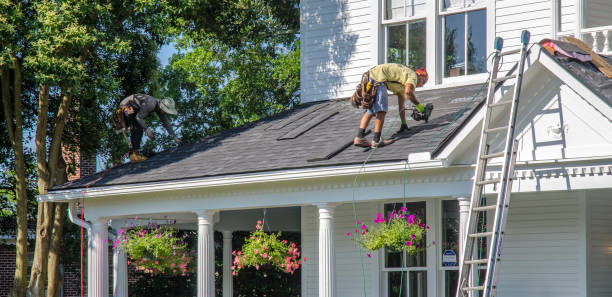 Best Gutter Installation and Repair  in Pigeon, MI